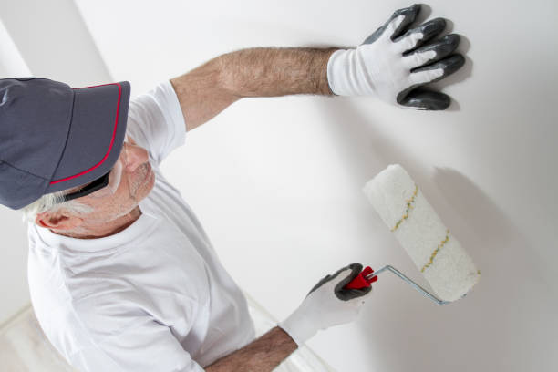 Best Asbestos and Lead Testing During Mold Inspection  in Manistique, MI