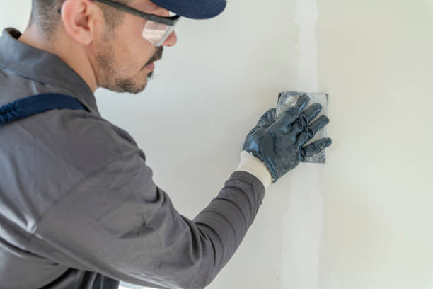 Best Black Mold Removal  in Manistique, MI