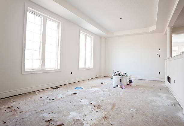 Reliable Manistique, MI Mold Removal Solutions